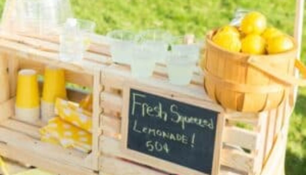 How To Use Lemonade Stand Experience for Business