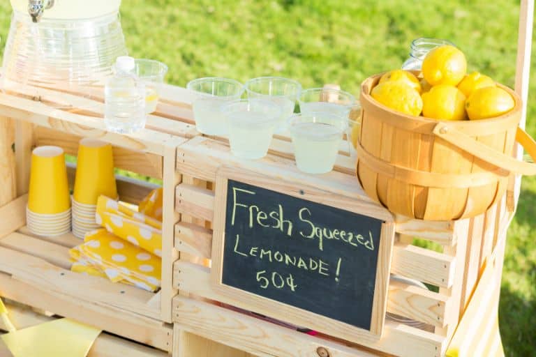 How To Use Lemonade Stand Experience for Business